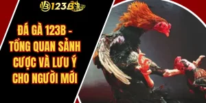 Đá Gà 123B – Tổng Quan Sảnh Cược Và Lưu Ý Cho Người Mới